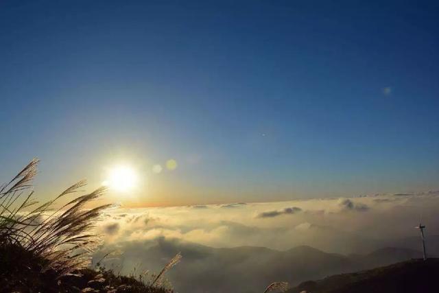 蒹葭苍苍，芦苇茫茫，这才是绍兴深秋最美的样子