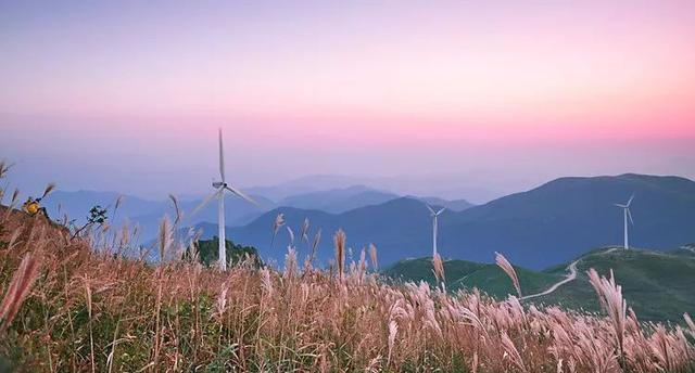 蒹葭苍苍，芦苇茫茫，这才是绍兴深秋最美的样子