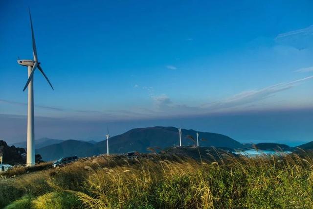 蒹葭苍苍，芦苇茫茫，这才是绍兴深秋最美的样子