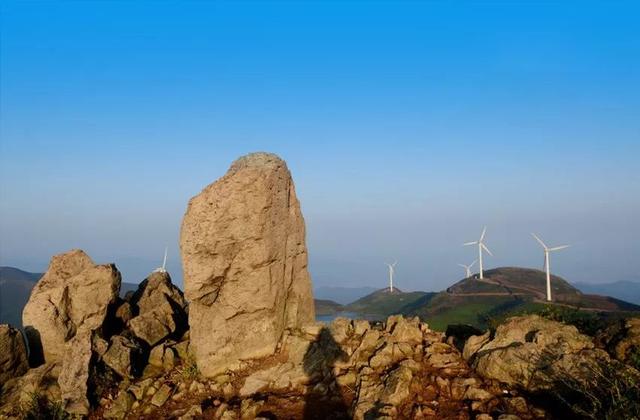 蒹葭苍苍，芦苇茫茫，这才是绍兴深秋最美的样子