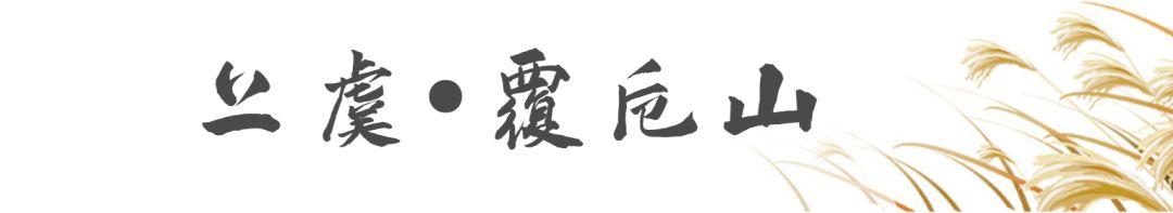 蒹葭苍苍，芦苇茫茫，这才是绍兴深秋最美的样子