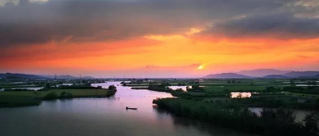 蒹葭苍苍，芦苇茫茫，这才是绍兴深秋最美的样子