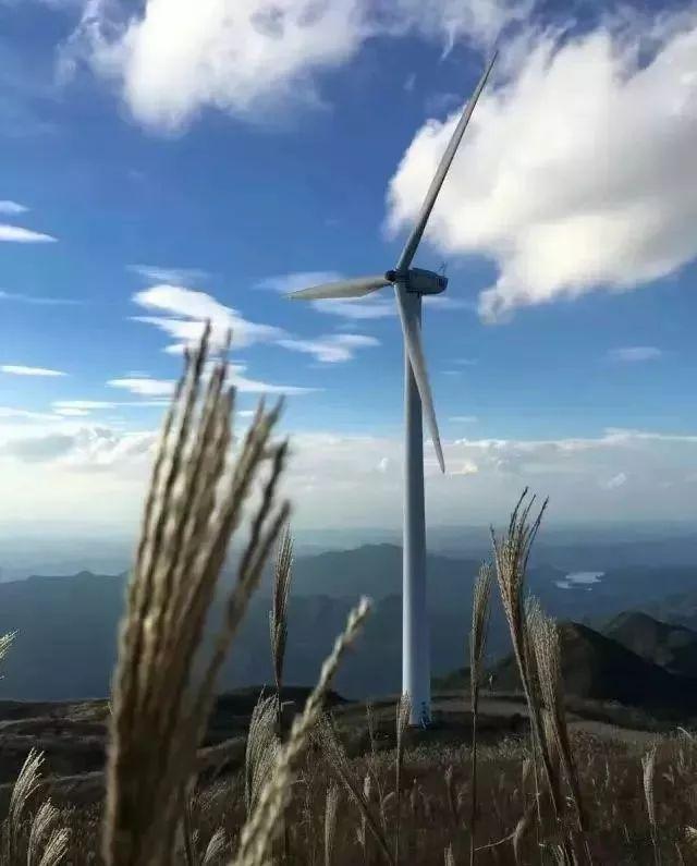 蒹葭苍苍，芦苇茫茫，这才是绍兴深秋最美的样子
