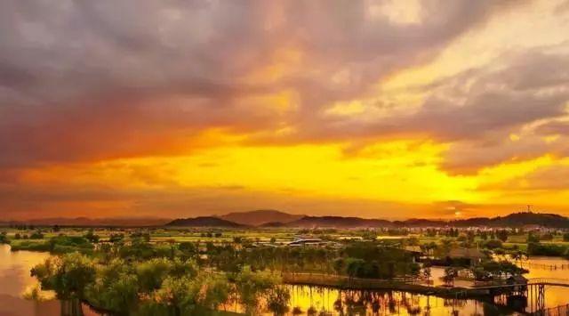 蒹葭苍苍，芦苇茫茫，这才是绍兴深秋最美的样子